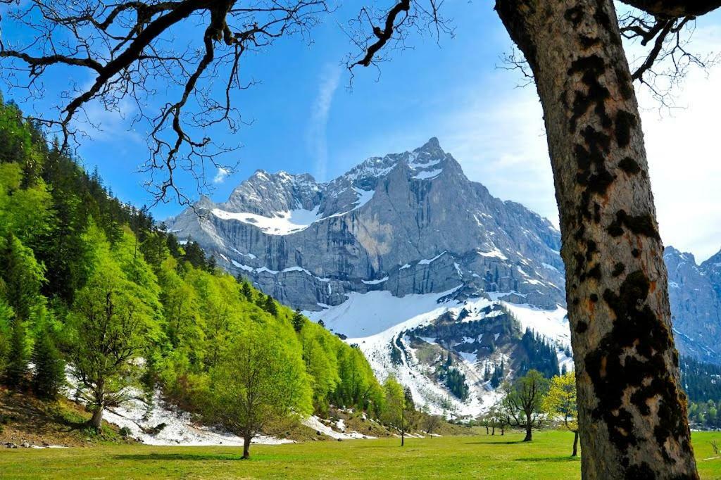 Апартаменты Alpenfreund Миттенвальд Экстерьер фото