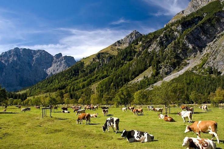 Апартаменты Alpenfreund Миттенвальд Экстерьер фото
